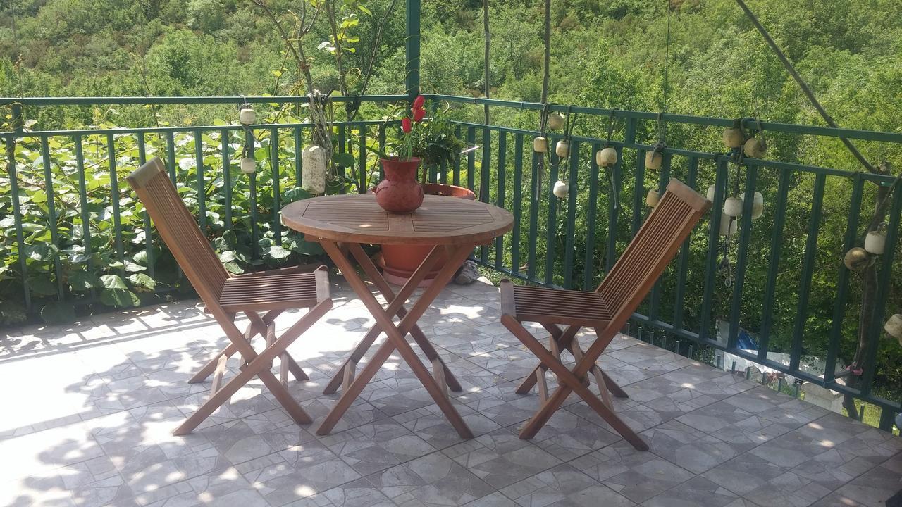 Danijela Apartmani Čanj Exteriér fotografie